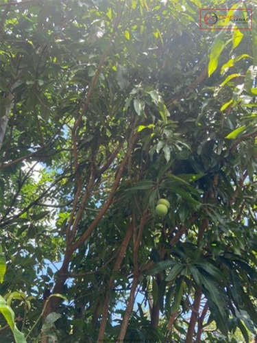 Imagem 4 de 10 de Terrenos Em Loteamento Fechado Para Venda Em Atibaia No Bairro Não Especificado - 1491233