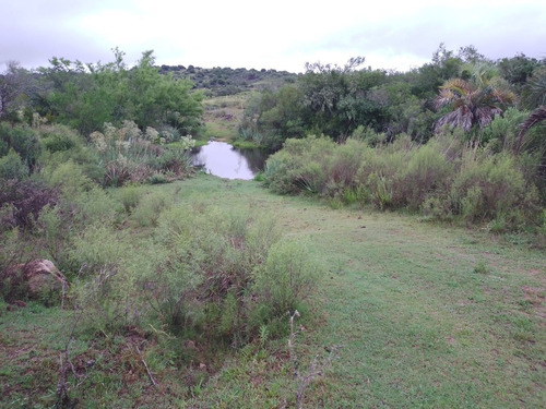Campo De 153 Hectáreas En Maldonado