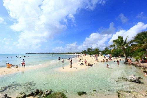Imagen 9 de 11 de Casa En Venta En Playa Del Carmen Riviera Maya Av. Pintores