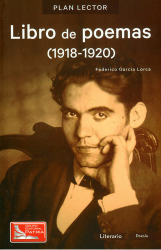 Libro De Poemas (1918-1920). Con Cuaderno De Actividades, De Federico García Lorca. Serie 6077445845, Vol. 1. Editorial Difusora Larousse De Colombia Ltda., Tapa Blanda, Edición 2017 En Español, 2017