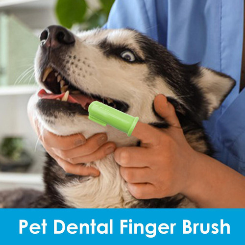 Cepillo De Dientes Para Perros Cepillo De Dientes Para Perro