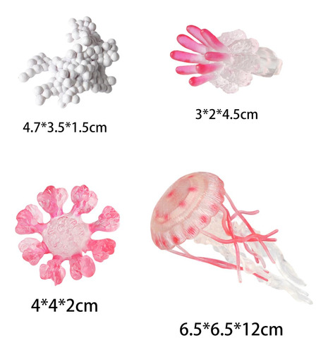 3 Medusas Ciclo De