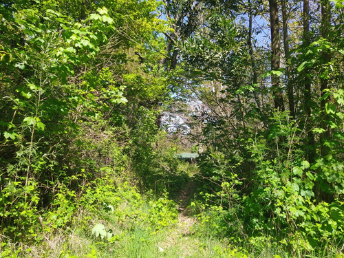 Hermosa Parcela En Venta En Gorbea