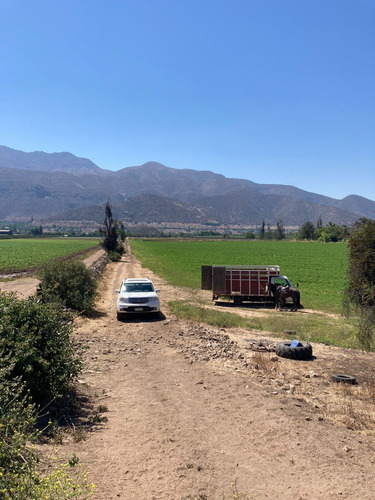 Inversión En Catemu! Parcela Agrícola Terreno 17,9 Hectáreas