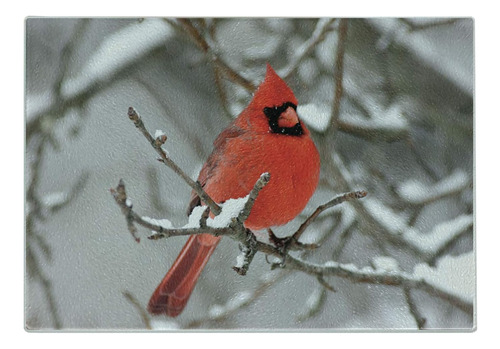 Tabla De Cortar Cardenal, Pájaro De Montaña De América Del N