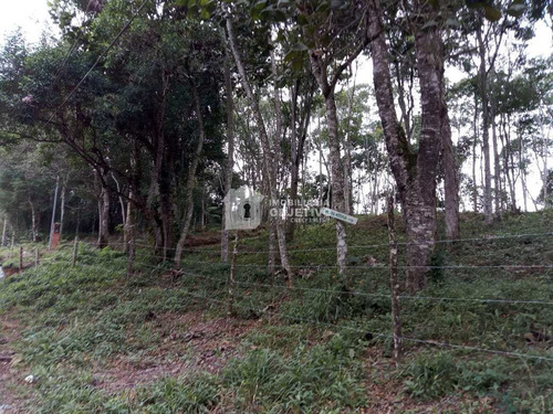 Imagem 10 de 25 de Terreno, Dos Neves (caucaia Do Alto), Cotia - R$ 75 Mil, Cod: 4255 - V4255