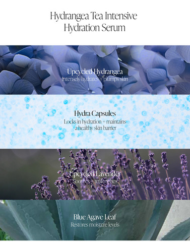Suero Byroe Hydrangea Tea Mejor Serum Nutriente Intensivo