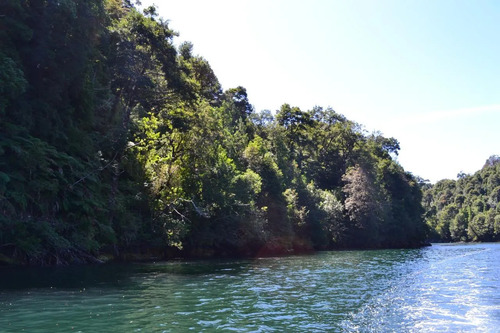 Sitio En Puerto Gato, Zona De Preservacion