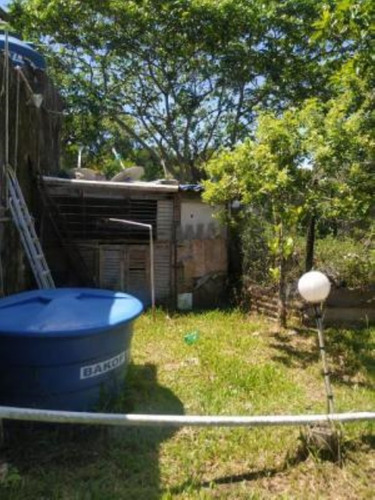 Imagem 18 de 24 de Mini Chácara No Bairro Sítio Velho, Em Itanhaém, Com Tanque De Peixes Com Mais De 100 Tilápias, Quarto De Dispensa, Poço Artesiano, Fogão A Lenha E Vaga Para 02 Automóveis Ref: 9544/ac
