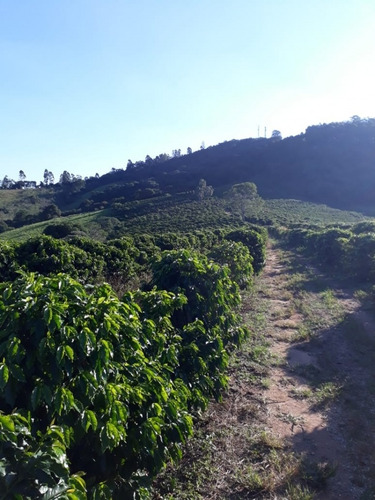 Imagem 2 de 3 de Fazenda Em Penha, Bragança Paulista/sp De 20000m² À Venda Por R$ 400.000,00 - Fa886889-s