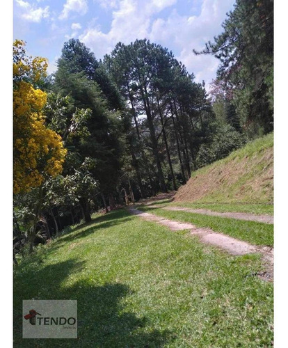 Imagem 4 de 15 de Sítio Com 4 Dormitórios À Venda, 24200 M² Por R$ 955.000 - Chácara Boa Vista Palmeiras - Suzano/sp - Si0007