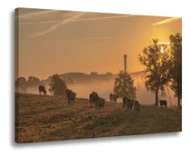 Comprar Quadro Decorativo Sala Quarto Escritório Agricultura Grande