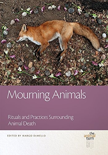 Mourning Animals Rituals And Practices Surrounding Animal De