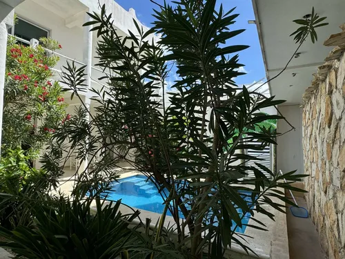 Casa Equipada En Venta Ubicada En Chelem, Yucatán.