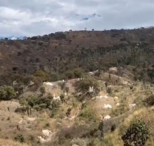 Gran Oportunidad De Inversión Banco En Venta Jalisco