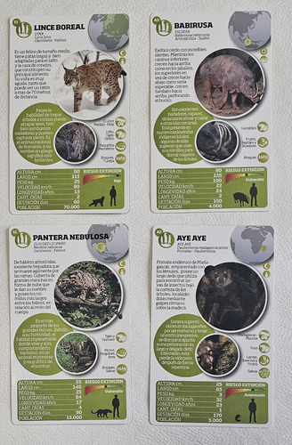 Cartas Didacticas Infantiles X 2 - Luminias Y Animal Planet