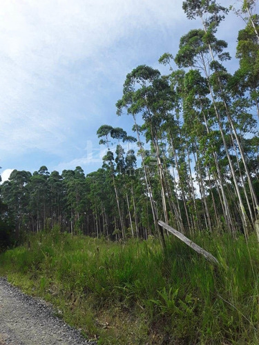 Chácara À Venda No Bairro Chapadão Figueira - Botuverá/sc - 1412c