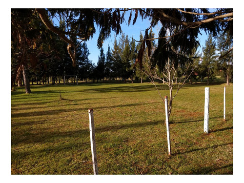 Imagen 9 de 27 de Campo Venta 3 Cabañas Pileta, Laguna, Cancha De Fútbol, Arbolada -1.8 Hectáreas - Magdalena