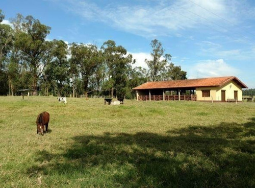 Imagem 12 de 22 de Fazenda 80 Alqueires, Rica Em Água Com Riacho, Aproveitamento De 85% Para Plantio, Estruturada Para Pecuária, Casa Sede E Funcionarios, Curral, Galpão - Fa00248 - 70737151
