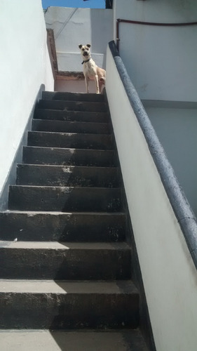 Imagen 9 de 14 de Dock Sud, Casa Para Dos Familias Excelente Oportunidad