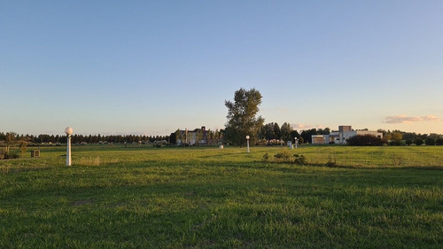Imagen 4 de 8 de Terreno En Venta En Puerto Chascomus