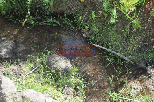 Imagen 17 de 30 de Venta Campo Ubicado En Garzón