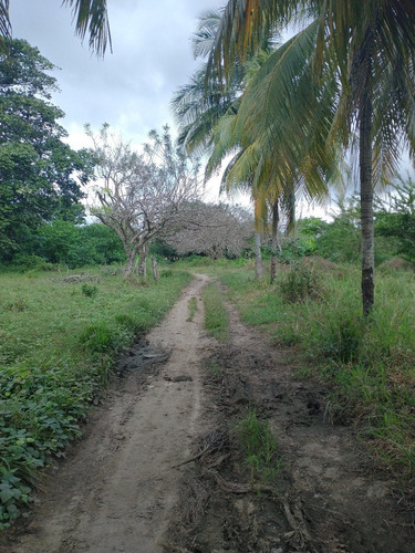 Imagen 13 de 30 de Oportunidad De Inversion Vendo Finca Grande Baranoa Atlántico