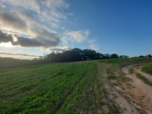 Imagem 5 de 13 de Terreno Perfeito Para Sua Chacara Em Cotia