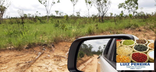 Imagem 9 de 9 de Fazenda À Venda Em Recursolândia -t0 - 3998 Hectares (dupla Aaptidão) - 1592