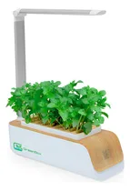 Comprar Maceta Hidroponía Planta Sustratos Cultivo Kits Greenbox