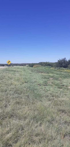 Campo En Venta En San Luis Saladillo