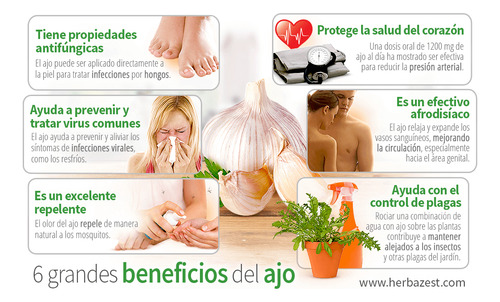 Aceite De Ajo + 1 Aceite De Ajonjolin