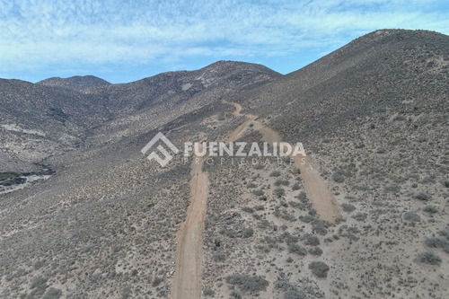 22 Parcelas De 5,000 M2 En Venta El Hinojal,valle De Elqui.