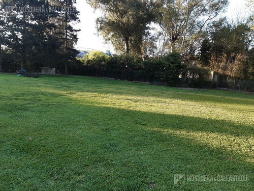 Imagen 18 de 22 de Mosquera Y Gallastegui Venta Financiada Casa-quinta En Benavidez 4100 Metros De Terreno