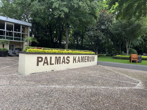 Departamento Amueblado Palmas Kamerun