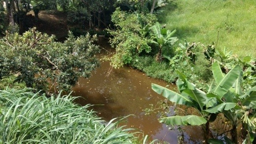Imagem 11 de 15 de Venda Chácara Com Lago Em Itapecerica Da Serra - Vi137