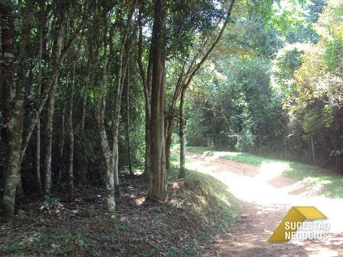 Imagem 4 de 15 de Terreno Na Represa Pé Na Água 4.672 M² - 2226