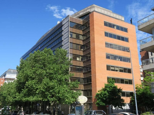 Imagen 1 de 6 de Oficina En Alquiler En Puerto Madero En Edificio De Categoría