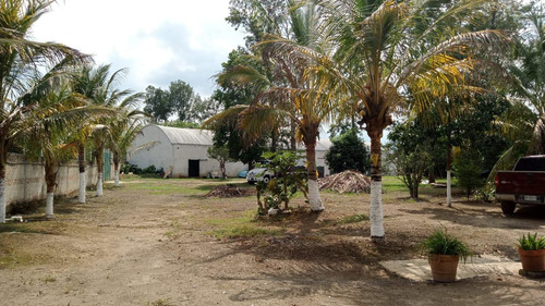 Bodega En Renta En El Castillo Chico, Xalapa, Veracruz