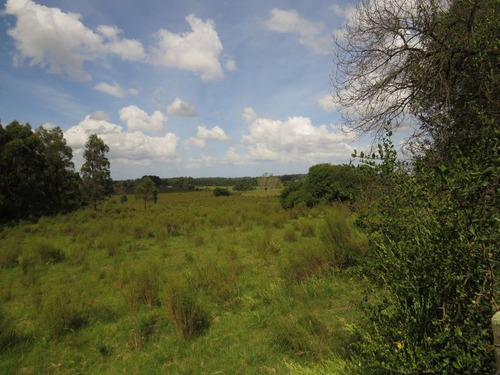 Chacra En Punta Ballena, Maldonado