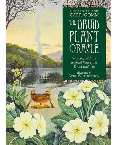 The Druid Plant Oracle Brinde Cartas Caminho Sagrado