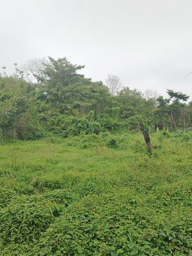 Venta De Terreno Excelente Ubicacion En San Bartolo Tuxtepec Oaxaca