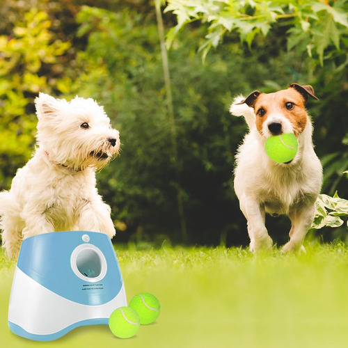 Lanzador Automático De Pelotas Juego Interactivo Para Perros