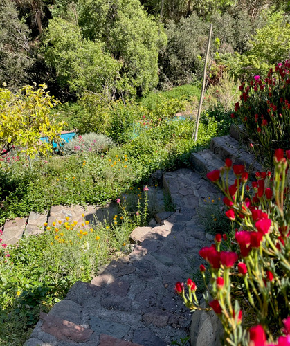Oferta, Por Viaje Vendo Hermosa Casa, El Arrayan