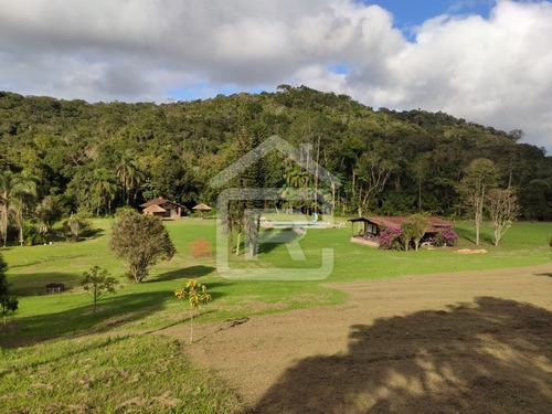 Imagem 12 de 30 de Excelente Sitio Com Topografia Plana, Rico Em Aguá - 12 - 69839868