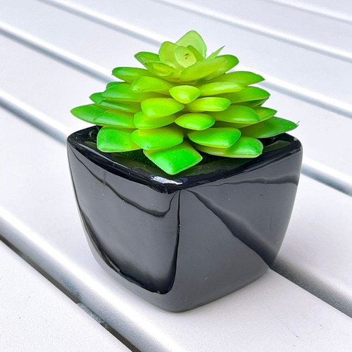 Planta Suculenta Artificial Decorativa Negro 7cmxancho 5cm