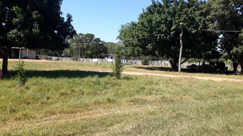 Imagem 2 de 17 de Fazenda - Área Rural A Venda Em Barão De Melgaço - Mt - Fa0191