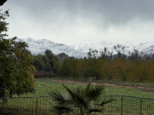 Venta Terreno Agricola, El Peumo , Calle Larga  , Los Andes