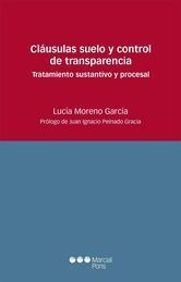 Libro Cláusulas Suelo Y Control De Transparencia