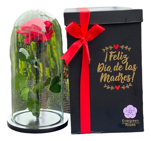  Rosa Preservada Regalo Cúpula Vidrio Rojo Dia De La Madre 